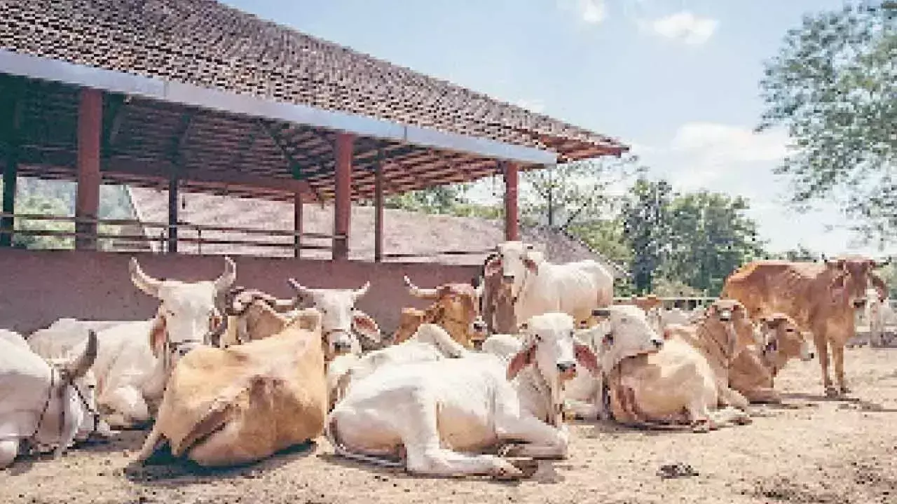 Telangana: मुख्यमंत्री रेवंत ने व्यापक गौ संरक्षण नीति बनाने का आह्वान किया