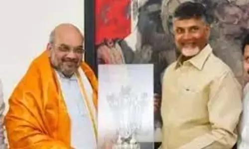 Andhra: कच्चे पाम तेल पर ‘आयात शुल्क में कटौती’ पर पुनर्विचार करें