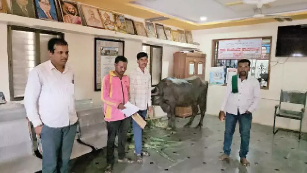 Karnataka: धनराशि जारी न होने से हताश किसान ने पंचायत कार्यालय में बांधी गाय