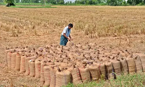 Andhra: अपलैंड के किसानों को बढ़िया, अति उत्तम चावल की किस्मों की खेती करने की सलाह दी Andhra: अपलैंड के किसानों को बढ़िया, अति उत्तम चावल की किस्मों की खेती करने की सलाह दी