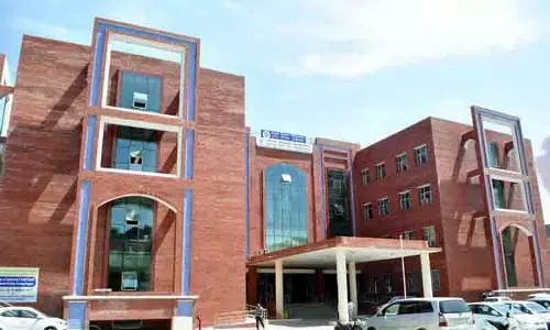 Mayor ने नगर निकाय के काम की निगरानी के लिए अभी तक उप-पैनल का गठन नहीं किया