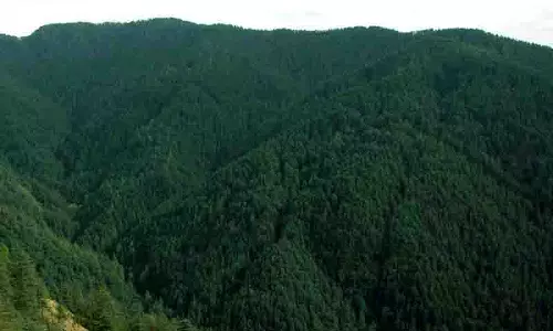 Himachal: वन संरक्षण विभाग वनों की सुरक्षा के लिए सभी प्रमुख शहरों में हरित पट्टी बनाएगा