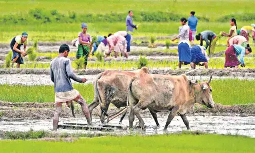 चुनाव भरोसा!..सरकार ने बादलों पर बांट दिया रायथू भरोसा