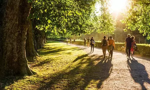 प्रकृति में खो जाने का नाम है ‘Forest Bathing’, जानें इसके फायदे प्रकृति में खो जाने का नाम है ‘Forest Bathing’, जानें इसके फायदे