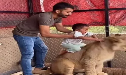Video: शेर के साथ बच्चे की फोटो, पिता की हरकत पर मचा बवाल Video: शेर के साथ बच्चे की फोटो, पिता की हरकत पर मचा बवाल