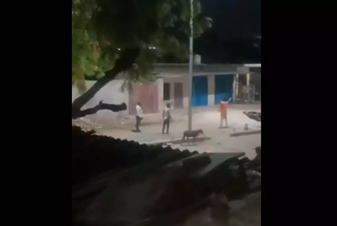 इतनी खुशी...किया कुछ ऐसा, मचा हड़कंप इतनी खुशी...किया कुछ ऐसा, मचा हड़कंप