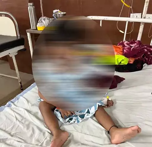 करैत-कोबरा सांप ने 4 बच्चों को डसा, वेंटिलेटर में थे अब सभी स्वस्थ करैत-कोबरा सांप ने 4 बच्चों को डसा, वेंटिलेटर में थे अब सभी स्वस्थ