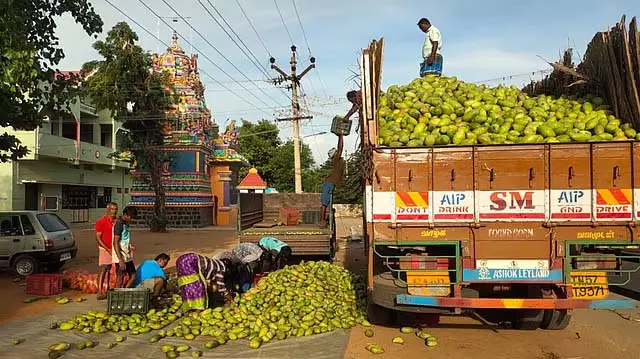 Tamil Nadu: किसान संघ ने सब्सिडी के साथ 20 रुपये प्रति किलोग्राम की दर से आम खरीदने की मांग की Tamil Nadu: किसान संघ ने सब्सिडी के साथ 20 रुपये प्रति किलोग्राम की दर से आम खरीदने की मांग की