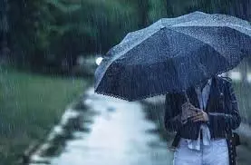 Gujarat Weather: 18 जिलों में भारी बारिश का अलर्ट, IMD ने जारी किया ताजा अपडेट Gujarat Weather: 18 जिलों में भारी बारिश का अलर्ट, IMD ने जारी किया ताजा अपडेट