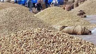 खाद्य तेल की कीमतों में कटौती का लाभ उपभोक्ताओं तक पहुंचे : केंद्र खाद्य तेल की कीमतों में कटौती का लाभ उपभोक्ताओं तक पहुंचे : केंद्र