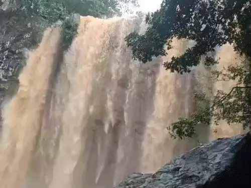 भारी बारिश हुई गौरेला पेंड्रा मरवाही में, मौसम विभाग ने दिया अपडेट भारी बारिश हुई गौरेला पेंड्रा मरवाही में, मौसम विभाग ने दिया अपडेट