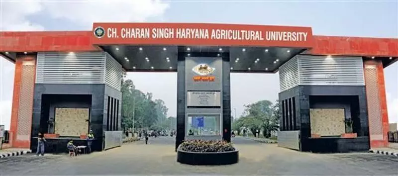 एचएयू विवाद बढ़ा OBC नेताओं ने वीसी का समर्थन किया, जेजेपी ने बर्खास्तगी की मांग की एचएयू विवाद बढ़ा OBC नेताओं ने वीसी का समर्थन किया, जेजेपी ने बर्खास्तगी की मांग की