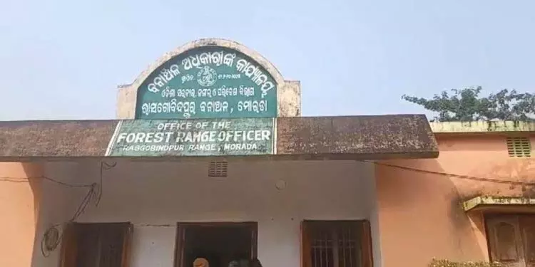 जंबो ने महिला को कुचलकर मार डाला, एक व्यक्ति घायल जंबो ने महिला को कुचलकर मार डाला, एक व्यक्ति घायल