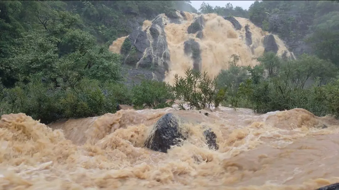 Chaibasa: भारी बारिश से उफनाईं नदियां, हिरणी फॉल जाने पर रोक Chaibasa: भारी बारिश से उफनाईं नदियां, हिरणी फॉल जाने पर रोक
