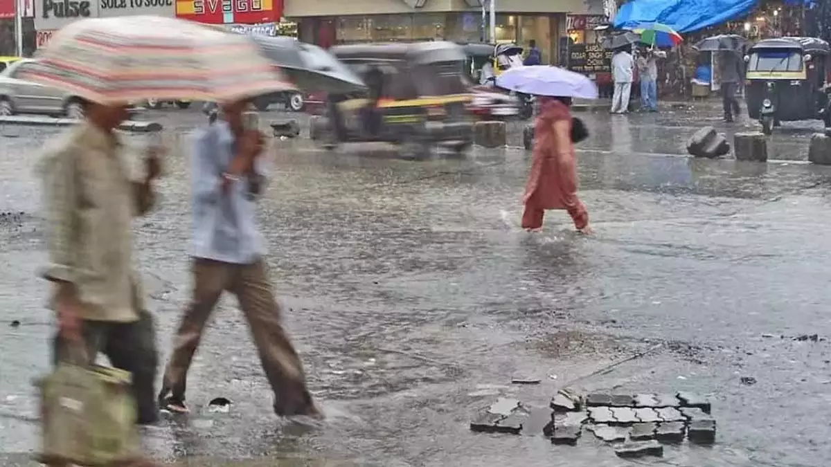 शहर में विभिन्न मौसमों में पानी की कमी या अधिकता शहर में विभिन्न मौसमों में पानी की कमी या अधिकता
