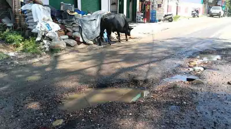Thakurdwara-Daroh Road पर गड्ढे होने से लोगों की जान जोखिम में Thakurdwara-Daroh Road पर गड्ढे होने से लोगों की जान जोखिम में