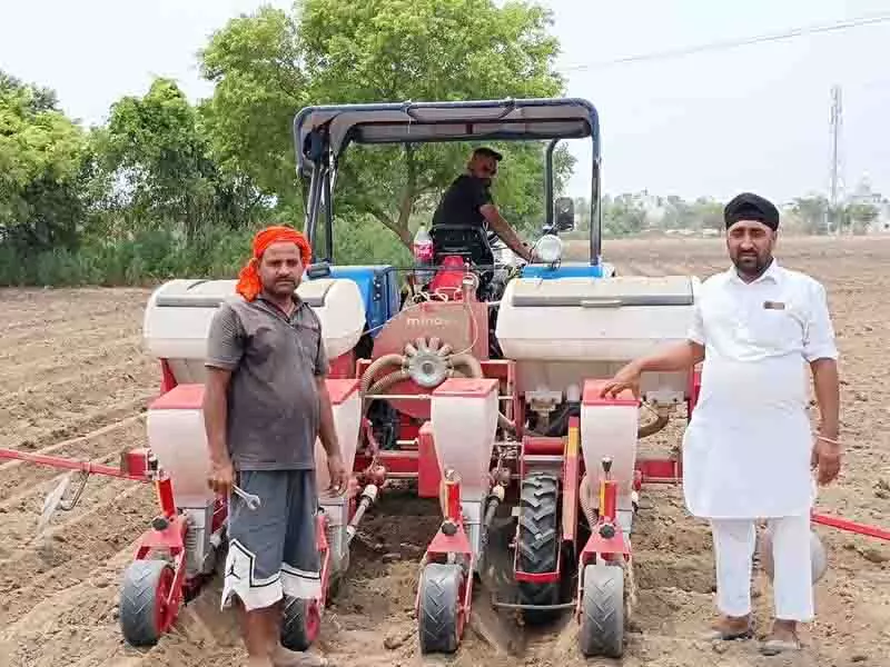 Jalandhar: कृषि विभाग को खरीफ मक्का बुवाई का लक्ष्य पूरा करने में कठिनाई Jalandhar: कृषि विभाग को खरीफ मक्का बुवाई का लक्ष्य पूरा करने में कठिनाई
