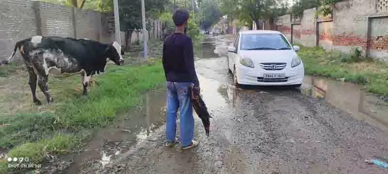 50 साल पहले स्थापित Tarn Taran फोकल प्वाइंट उपेक्षा की तस्वीर 50 साल पहले स्थापित Tarn Taran फोकल प्वाइंट उपेक्षा की तस्वीर