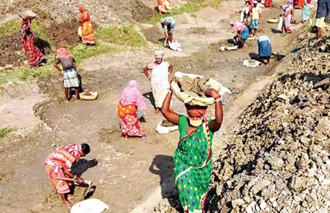 हाईकोर्ट के फैसले से हाशिए पर पड़े लोगों के चेहरे पर मुस्कान आई हाईकोर्ट के फैसले से हाशिए पर पड़े लोगों के चेहरे पर मुस्कान आई