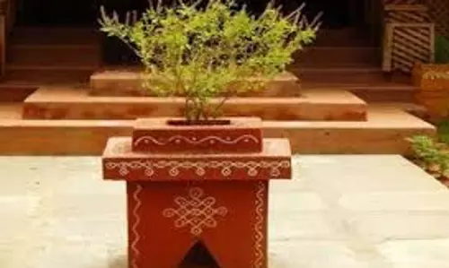 धर्म: क्यों माना जाता है मां तुलसी को मां लक्ष्मी का स्वरूप और जीवनदायिनी औषधि धर्म: क्यों माना जाता है मां तुलसी को मां लक्ष्मी का स्वरूप और जीवनदायिनी औषधि