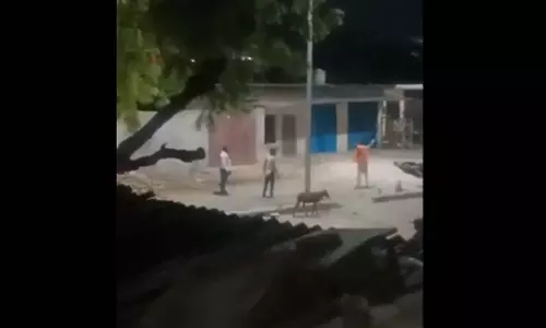 इतनी खुशी...किया कुछ ऐसा, मचा हड़कंप इतनी खुशी...किया कुछ ऐसा, मचा हड़कंप