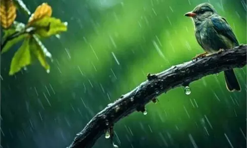 UP News:  आज कई जिलों में भारी बारिश के आसार