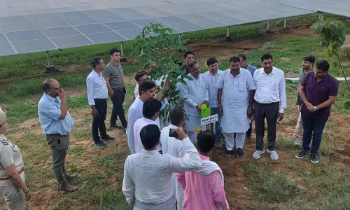 Jaipur : ऊर्जा राज्य मंत्री ने बानसूर के भूपसेडा स्थित सोलर संयंत्रों का किया अवलोकन Jaipur : ऊर्जा राज्य मंत्री ने बानसूर के भूपसेडा स्थित सोलर संयंत्रों का किया अवलोकन