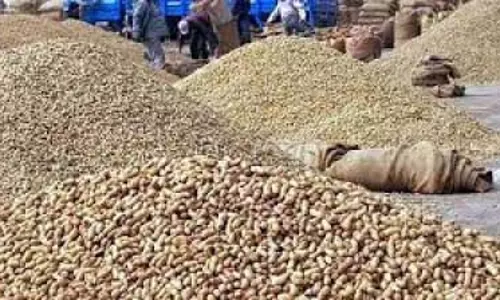 खाद्य तेल की कीमतों में कटौती का लाभ उपभोक्ताओं तक पहुंचे : केंद्र खाद्य तेल की कीमतों में कटौती का लाभ उपभोक्ताओं तक पहुंचे : केंद्र