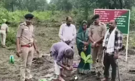 Chhota Udaipur: हरियाली बढ़ाने के लिए वन विभाग का वसेड़ी में वृक्षारोपण