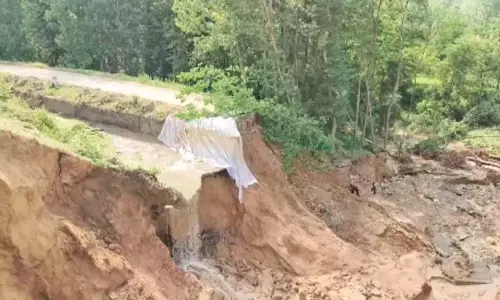 दक्षिण कश्मीर में नहर टूटने से 2,500 हेक्टेयर से अधिक भूमि की सिंचाई बाधित