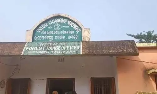 जंबो ने महिला को कुचलकर मार डाला, एक व्यक्ति घायल