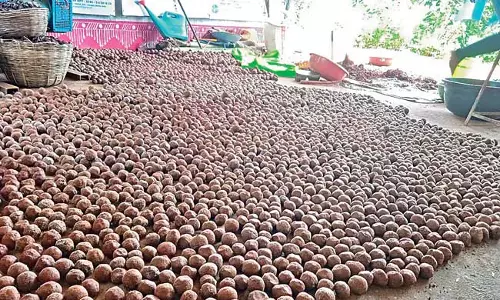 Odisha : जैविक बीज गेंदों के साथ बेहतर
