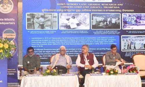 सेमिनार में विशेषज्ञों ने रोडमैप तैयार किया सेमिनार में विशेषज्ञों ने रोडमैप तैयार किया