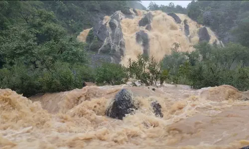 Chaibasa: भारी बारिश से उफनाईं नदियां, हिरणी फॉल जाने पर रोक Chaibasa: भारी बारिश से उफनाईं नदियां, हिरणी फॉल जाने पर रोक