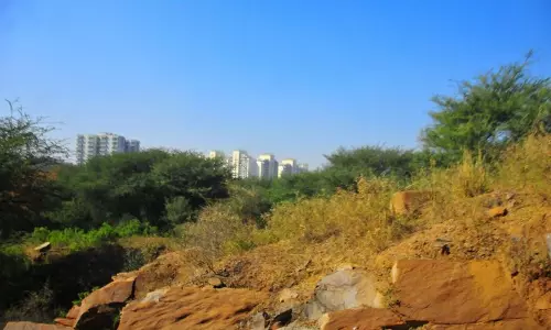 Haryana  ने अरावली क्षेत्र में जंगल सफारी और ग्रीन वॉल परियोजना की योजना बनाई