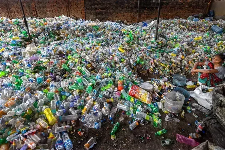 प्लास्टिक के इस्तेमाल पर हाईकोर्ट का नया आदेश जानें Kerala में क्या प्रतिबंधित है