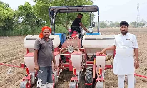 Jalandhar: कृषि विभाग को खरीफ मक्का बुवाई का लक्ष्य पूरा करने में कठिनाई