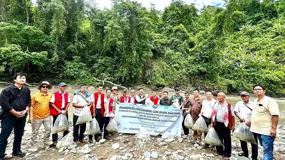 Nagaland : दोयांग नदी में एक लाख फिंगरलिंग छोड़े गए Nagaland : दोयांग नदी में एक लाख फिंगरलिंग छोड़े गए
