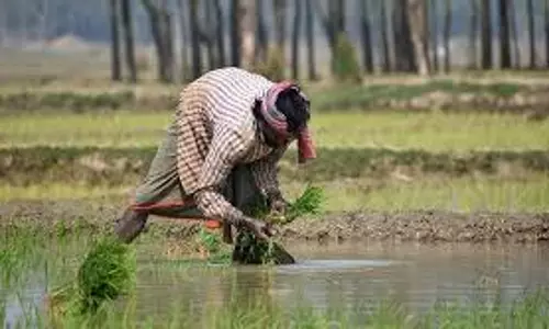 खेती को लाभदायक बनाने के लिए किसानों के लिए शुरू की गई ये योजनाएं