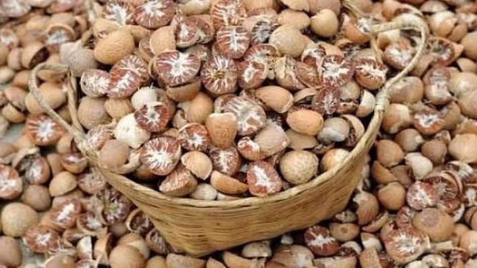 Mizoram : कोलासिब और ममित में सुपारी प्रसंस्करण इकाइयों की योजना बनाई
