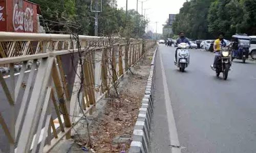 Amritsar प्रशासन गर्मी के प्रभाव को कम करने के लिए हरित क्षेत्र बढ़ाने पर विचार कर रहा Amritsar प्रशासन गर्मी के प्रभाव को कम करने के लिए हरित क्षेत्र बढ़ाने पर विचार कर रहा