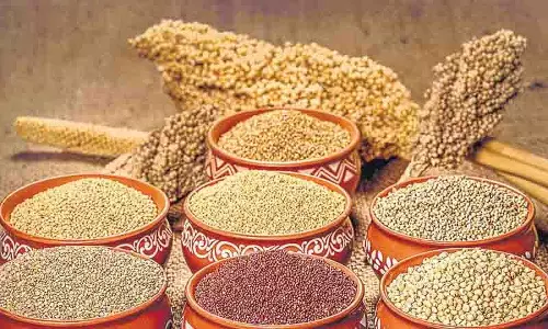 ICRISAT ने फिंगर मिलेट के लिए दुनिया का पहला स्पीड ब्रीडिंग प्रोटोकॉल पेश किया