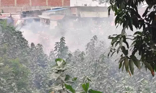 पोखरी के कूड़े के ढेर में लगा आग, धुंआ धुंआ चौराहा व गांव पोखरी के कूड़े के ढेर में लगा आग, धुंआ धुंआ चौराहा व गांव