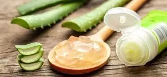 Skin Care: किचन में रखी इस एक चीज को एलोवेरा जेल में मिलाएं, आपकी त्वचा बेबी सॉफ्ट हो जाएगी Skin Care: किचन में रखी इस एक चीज को एलोवेरा जेल में मिलाएं, आपकी त्वचा बेबी सॉफ्ट हो जाएगी