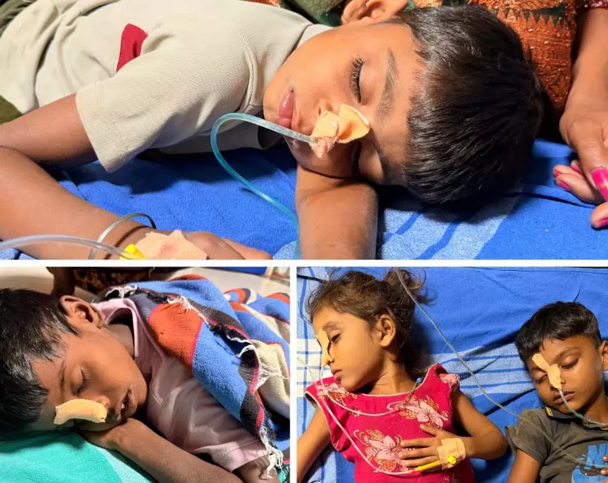 खेल-खेल में बच्चों ने खाया रतनजोत फल, चार की हालत नाजुक खेल-खेल में बच्चों ने खाया रतनजोत फल, चार की हालत नाजुक