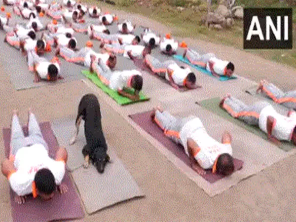 अंतर्राष्ट्रीय योग दिवस से पहले उधमपुर योग सत्र में NDRF द्वारा प्रशिक्षित आवारा कुत्ते ने सबका ध्यान खींचा अंतर्राष्ट्रीय योग दिवस से पहले उधमपुर योग सत्र में NDRF द्वारा प्रशिक्षित आवारा कुत्ते ने सबका ध्यान खींचा