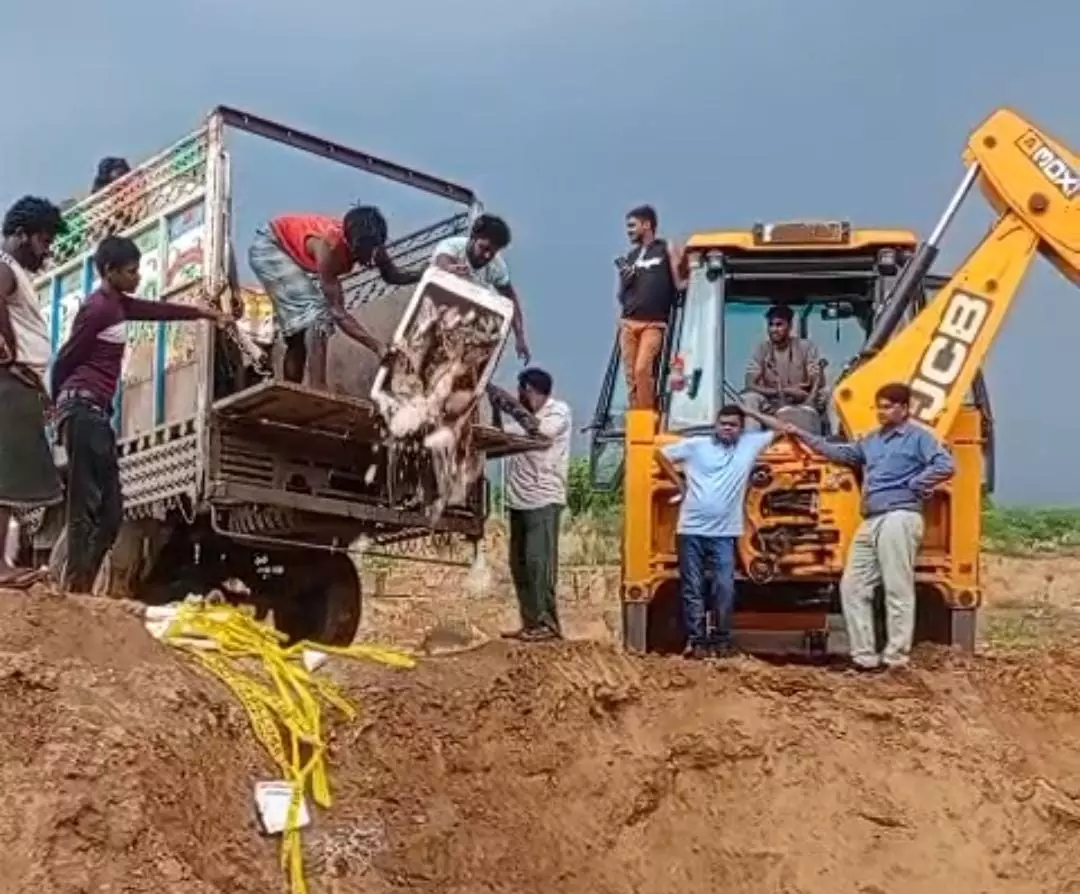 Jaipur: मत्स्य विभाग के निरीक्षण दल ने 1200 किलो मछलियों से भरी पिकअप को किया जब्त Jaipur: मत्स्य विभाग के निरीक्षण दल ने 1200 किलो मछलियों से भरी पिकअप को किया जब्त