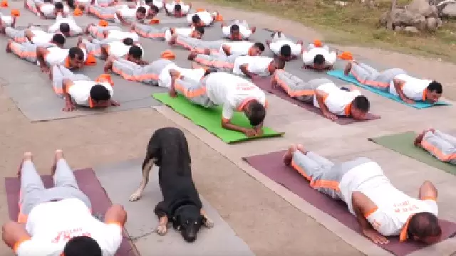 अंतरराष्ट्रीय योग दिवस की पूर्व संध्या पर NDRF टीम के साथ कुत्ते ने किया योग अंतरराष्ट्रीय योग दिवस की पूर्व संध्या पर NDRF टीम के साथ कुत्ते ने किया योग