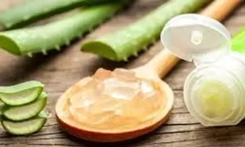 Skin Care: किचन में रखी इस एक चीज को एलोवेरा जेल में मिलाएं, आपकी त्वचा बेबी सॉफ्ट हो जाएगी Skin Care: किचन में रखी इस एक चीज को एलोवेरा जेल में मिलाएं, आपकी त्वचा बेबी सॉफ्ट हो जाएगी