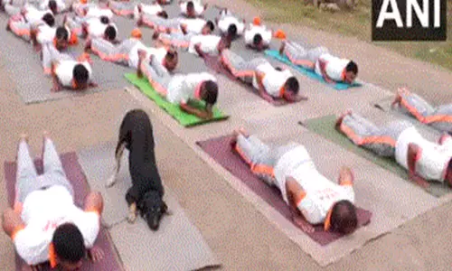 अंतर्राष्ट्रीय योग दिवस से पहले उधमपुर योग सत्र में NDRF द्वारा प्रशिक्षित आवारा कुत्ते ने सबका ध्यान खींचा